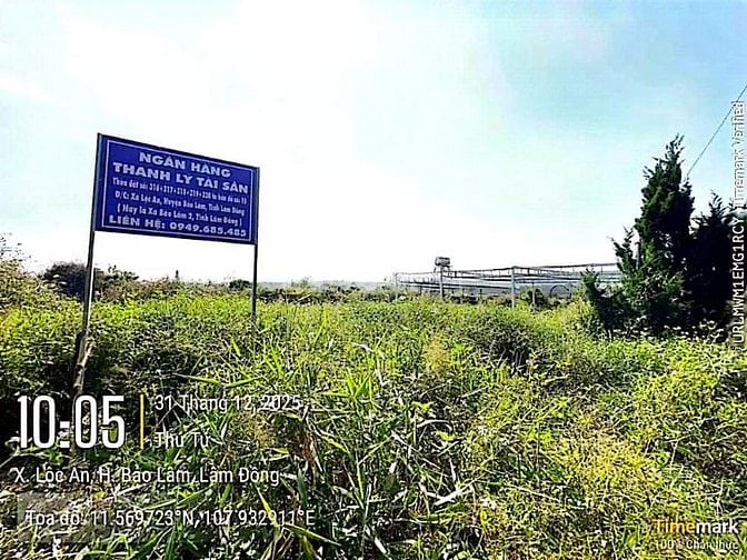 Công ty Đấu giá hợp danh Lam Sơn Sài Gòn thông báo đấu giá tài sản
