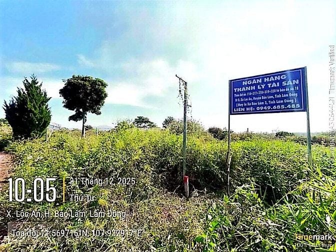 Công ty Đấu giá hợp danh Lam Sơn Sài Gòn thông báo đấu giá tài sản