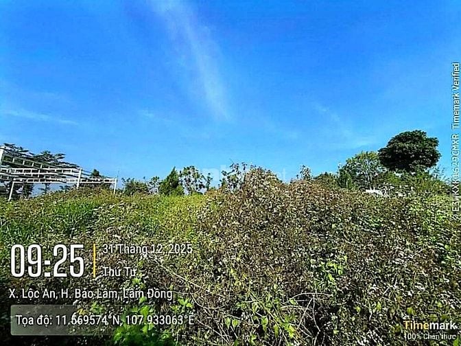 Công ty Đấu giá hợp danh Lam Sơn Sài Gòn thông báo đấu giá tài sản