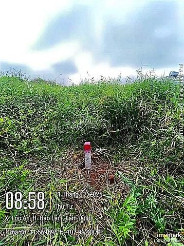 Công ty Đấu giá hợp danh Lam Sơn Sài Gòn thông báo đấu giá tài sản