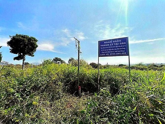 Công ty Đấu giá hợp danh Lam Sơn Sài Gòn thông báo đấu giá tài sản
