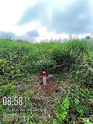Công ty Đấu giá hợp danh Lam Sơn Sài Gòn thông báo đấu giá tài sản