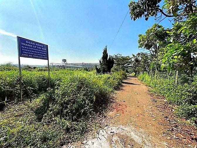 Công ty Đấu giá hợp danh Lam Sơn Sài Gòn thông báo đấu giá tài sản