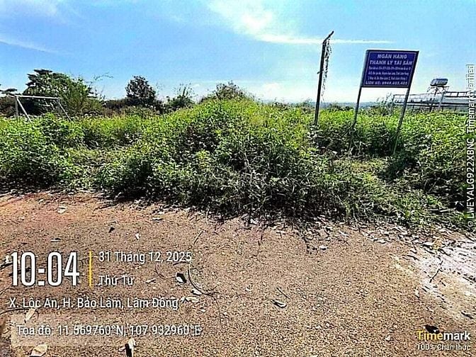Công ty Đấu giá hợp danh Lam Sơn Sài Gòn thông báo đấu giá tài sản