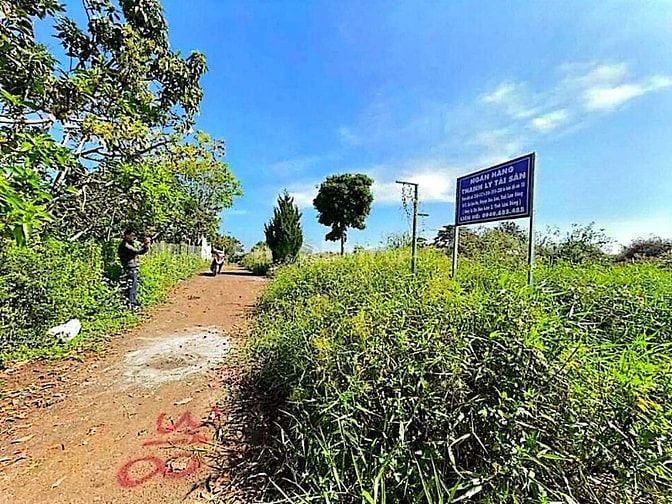 Công ty Đấu giá hợp danh Lam Sơn Sài Gòn thông báo đấu giá tài sản