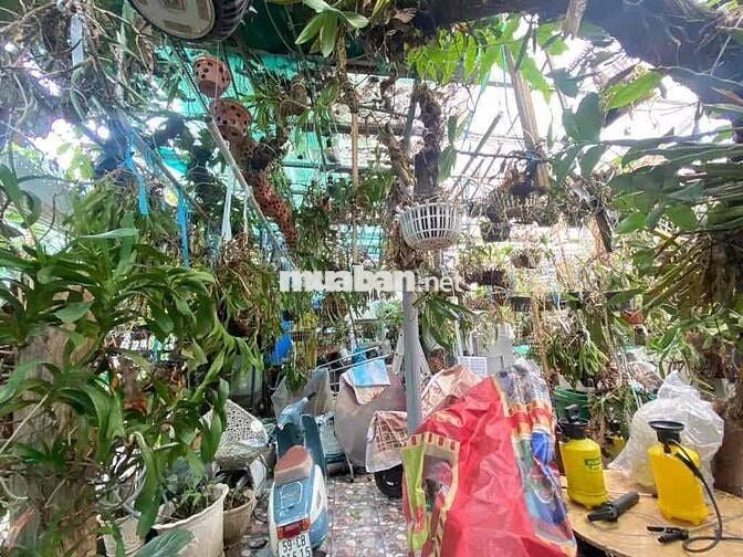 BIỆT THỰ VƯỜN 165M2- NGANG 14M- HUỲNH TẤN PHÁT QUẬN 7- GIÁ 5 TỶ HƠN