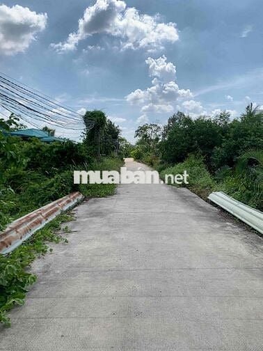Đường xe hơi cách mặt tiền Trần Văn Nghĩa 50m