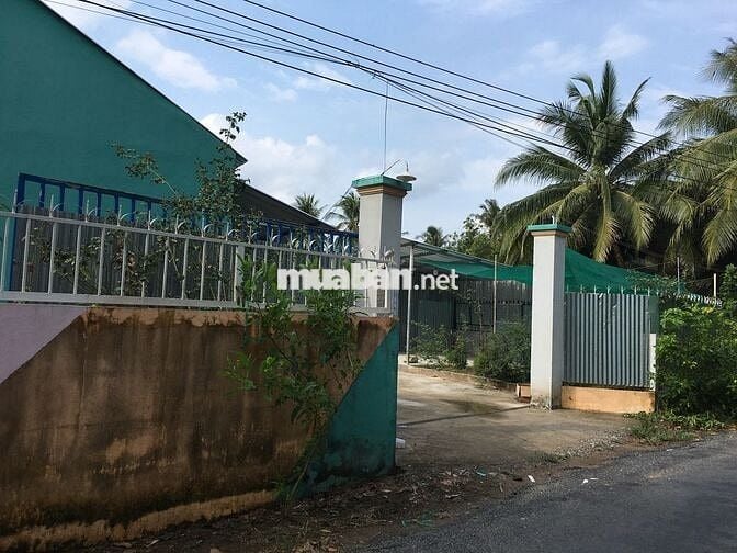 Bán Gấp Nhà + Đất 2 Mặt Tiền 1.150m² Lương Hòa Lạc, Sát Vách Mỹ Tho