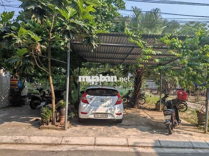Hyundai Accent 2016 Số tự động Trắng