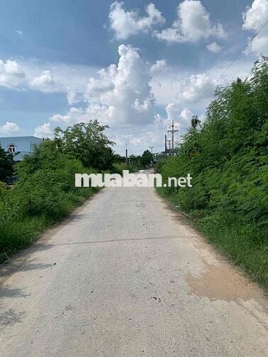 Đường xe hơi cách mặt tiền Trần Văn Nghĩa 50m