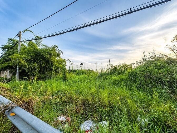🔥 ĐẤT NÔNG NGHIỆP QUY HOẠCH THỔ CƯ –  TRÊN ĐƯỜNG NGUYỄN BÌNH, NHÀ BÈ 🔥