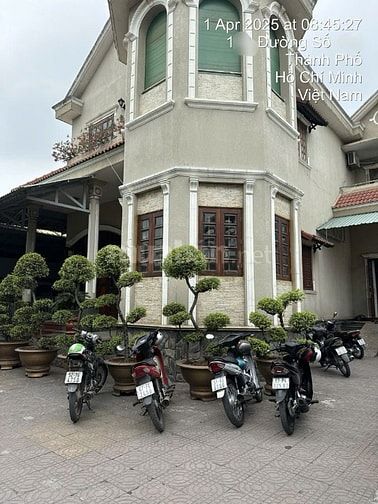 BÁN GẤP BIỆT THỰ SÂN VƯỜN ĐẲNG CẤP  HẺM XE HƠI ĐƯỜNG ĐẤT MỚI Bình Tân 