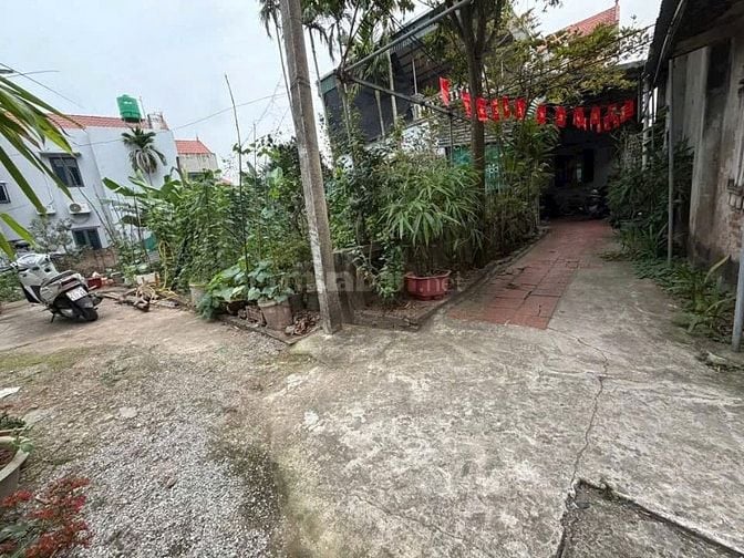 CHÍNH CHỦ BÁN LÔ GÓC THỊ TRẤN NAM PHONG PHÚ XUYÊN GIÁ 1.800.000.000 Đ.