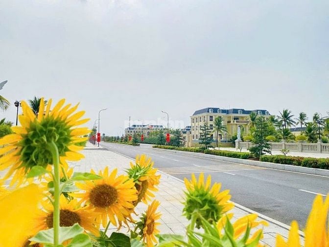 Đất nền tại Trung tâm hành chính Thủ Thừa Long An, cơ hội vàng đầu tư