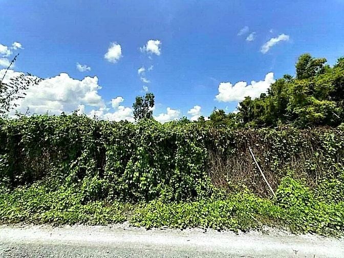 Công ty Đấu giá hợp danh Lam Sơn Sài Gòn thông báo đấu giá tài sản