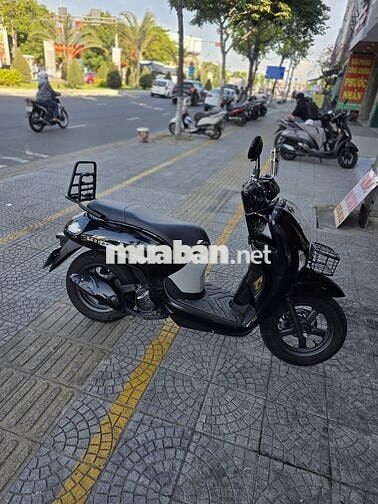 Honda Scoopy 2026 màu Đen