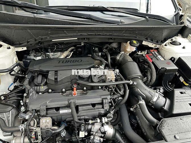 2022 1.6T Xăng Turbo - 70000 km