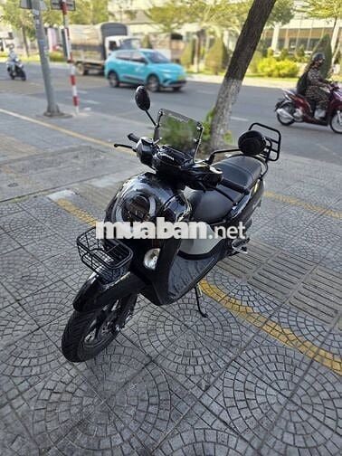 Honda Scoopy 2026 màu Đen