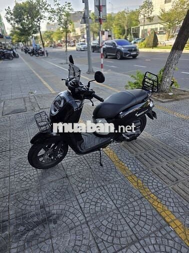 Honda Scoopy 2026 màu Đen