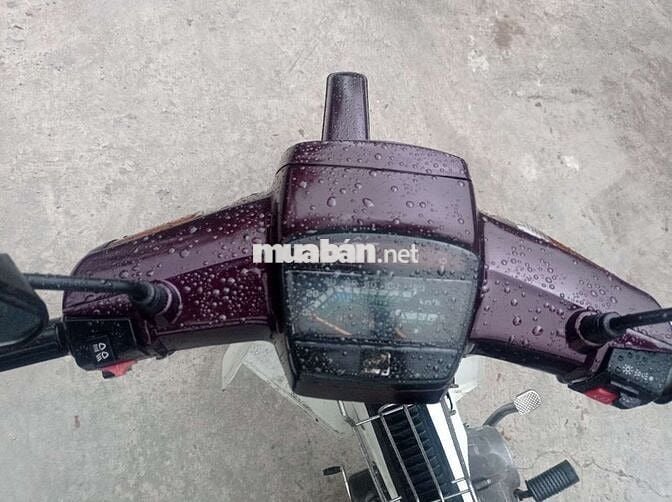 Honda Dream Nâu trắng Việt Nam
