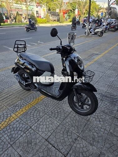 Honda Scoopy 2026 màu Đen