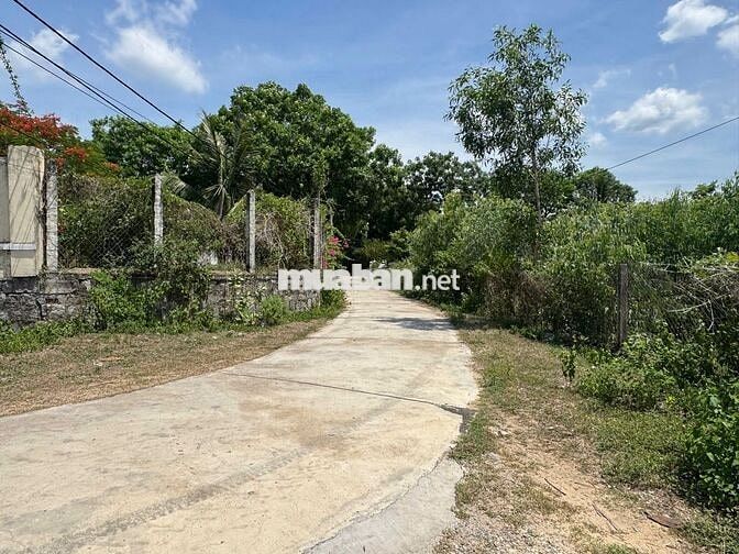 Bán 346m2 Đất - Ngang 10m - Vịnh Vân Phong, Khánh Hòa. Giá 3.5 Tỷ