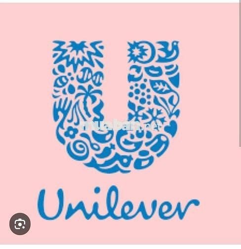 SALE THỊ TRƯỜNG UNILEVER LIÊN CHIỂU ĐÀ NẴNG