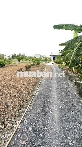ĐẤT GIÁP RANH BÌNH CHÁNH – LONG AN, AI CŨNG TƯỞNG XA NHƯNG 3 BƯƠC