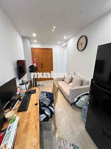 Bán căn hộ TT Nam Thành Công, tầng 2, 36/80m 2 ngủ 2wc, full NT xịn