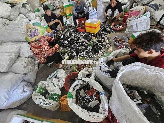 cần tuyển 10 nam- nữ LDPT