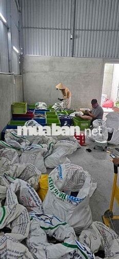 cần tuyển 10 nam- nữ LDPT