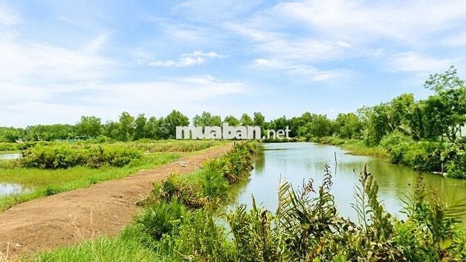 🌿 BÁN ĐẤT NÔNG NGHIỆP TIỀM NĂNG ĐẦU TƯ TẠI NHƠN ĐỨC – NHÀ BÈ 🌿