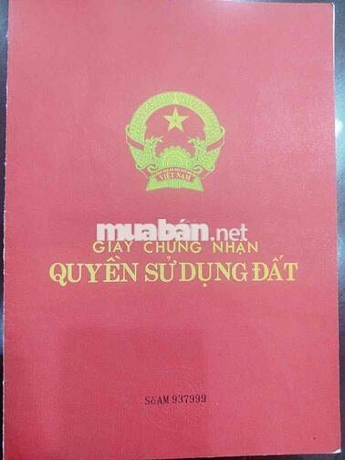 Đất mặt tiền Nguyễn Lương Bằng gần Mega MM chính chủ