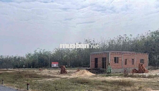 ĐẤT NỀN GIÁP RANH CỦ CHI- BÌNH DƯƠNG