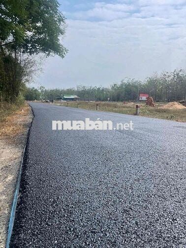 ĐẤT NỀN GIÁP RANH CỦ CHI- BÌNH DƯƠNG