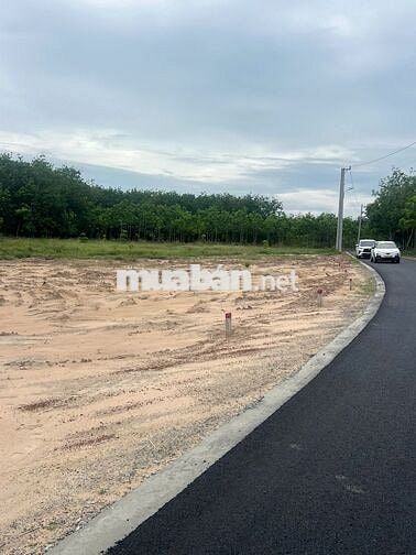 Đất nền Hồ Dầu Tiếng đường ĐT 704, xã Minh Thạnh, Bình Dương cũ. 
