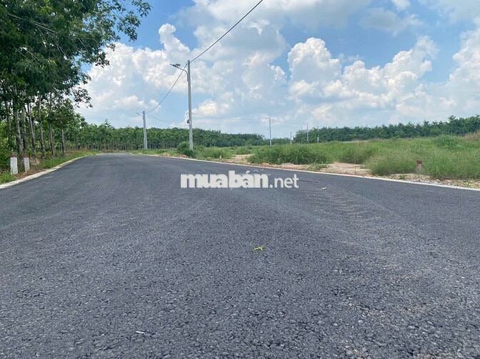Đất nền Hồ Dầu Tiếng đường ĐT 704, xã Minh Thạnh, Bình Dương cũ. 