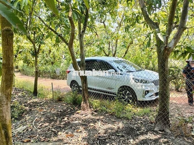 Bán nhanh 1000m2 vườn xoài gần sát hồ Trị An mát mẻ, mặt tiền hơn 17m
