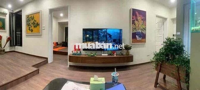 Bán căn hộ TT Nam Thành Công, 40/70m, 2 ngủ, khách bếp, wc, full NT