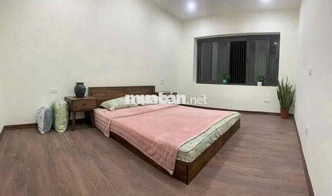 Bán căn hộ TT Nam Thành Công, 40/70m, 2 ngủ, khách bếp, wc, full NT