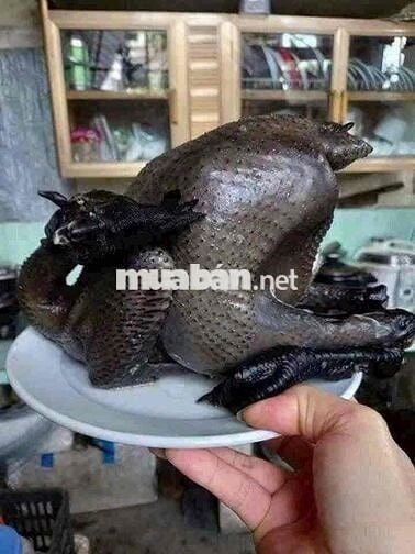 Nhà nguyễn cữu vân HXH 4pn 4wc