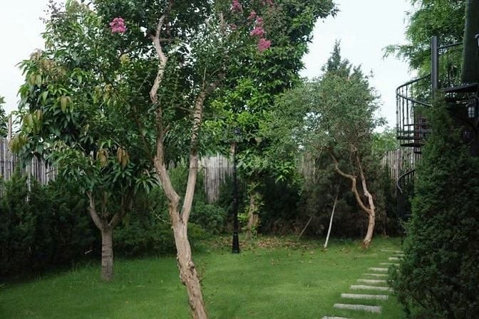 Cho thuê Villa sân vườn 600m2 view sông Hồng - Phú Thượng, Tây Hồ