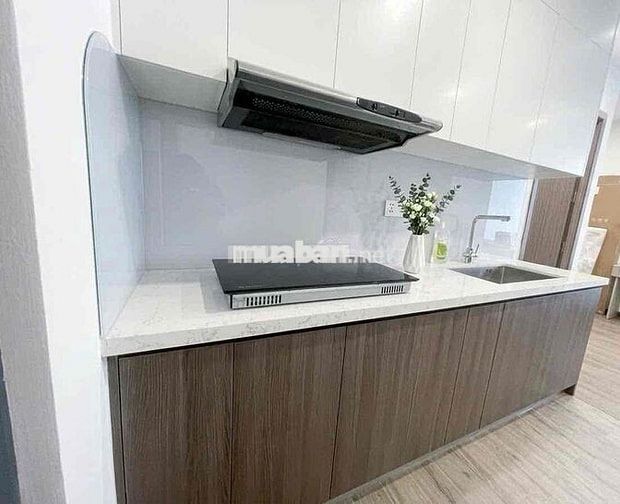 CHO THUÊ CĂN HỘ 2 NGỦ FULL NỘI THẤT XỊN FPT PLAZA