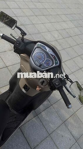 SYM Shark 170cc Vàng đồng