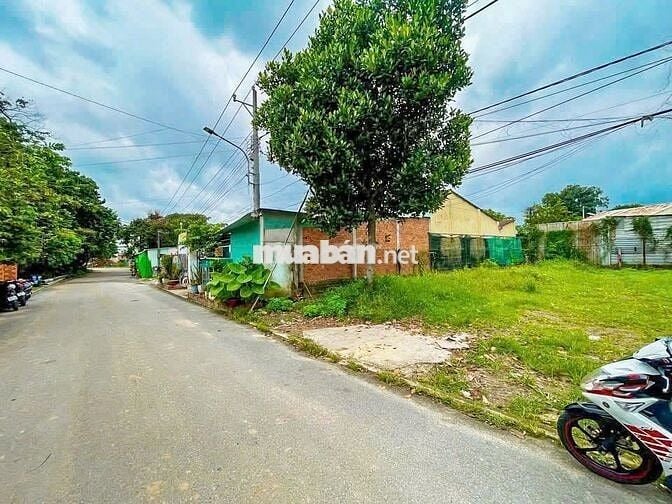 Lô đất 10x38m, thổ cư, đường nhựa An Bình, Trảng Bàng – Chỉ 580 triệu.