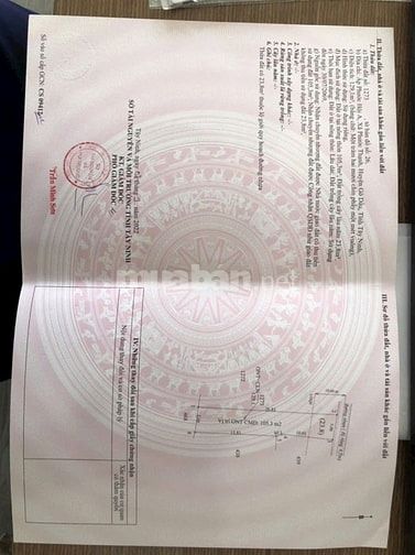 Chính chủ cần bán 129m2/ 589tr KCN Phước Đông