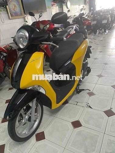 Yamaha Janus Vàng, Đen chính chủ
