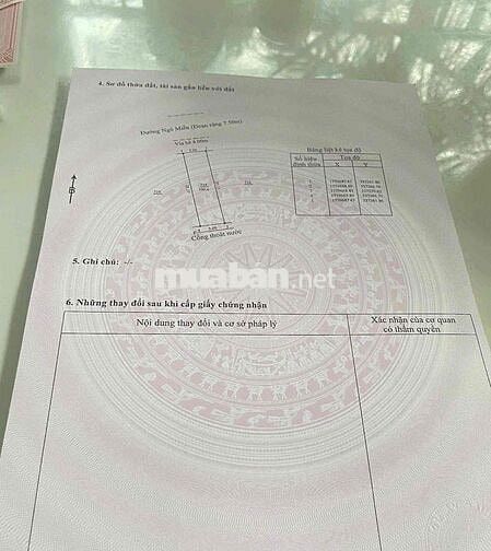 Đường 7m5 Ngô Miễn, Liên Chiểu. Giá 2.8 TL có thương lượng chính chủ