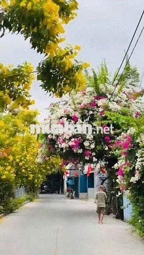 Bán đất An Phú Đông, ven sông Sài Gòn, giá sở hữu chỉ hơn 2 tỷ