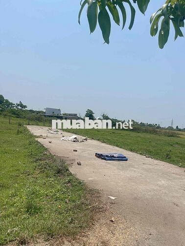 la bông hoà tiến sát vành đai giá 1290tr